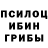 Псилоцибиновые грибы ЛСД kaorusan24