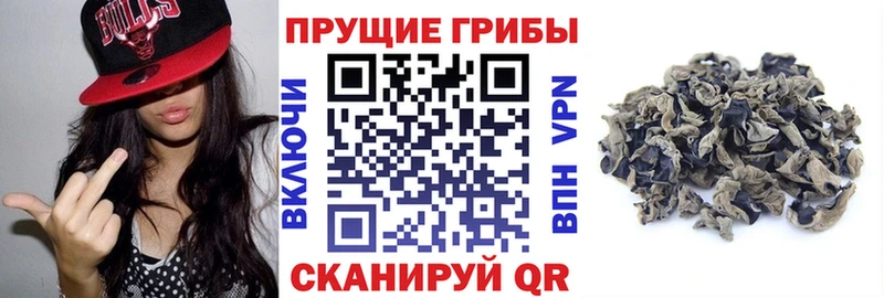 хочу   KRAKEN ТОР  Псилоцибиновые грибы Psilocybine cubensis  Зарайск 