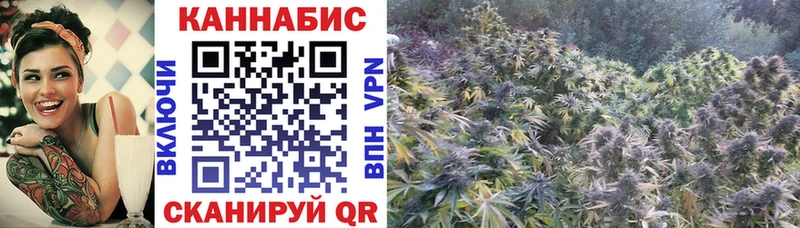 закладка  ОМГ ОМГ как зайти  Канабис сатива  Зарайск 